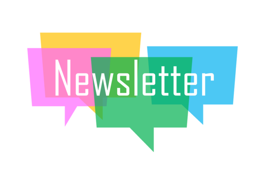 NEWSLETTER FUNDACIÓN INDEPENDIENTE AÑO 2020 -Memoria de Actividades-