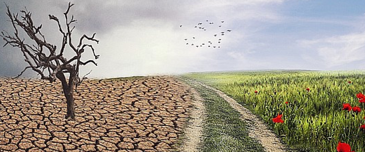 TRIBUNA INDEPENDIENTE “El campo español ante la nueva realidad climática”