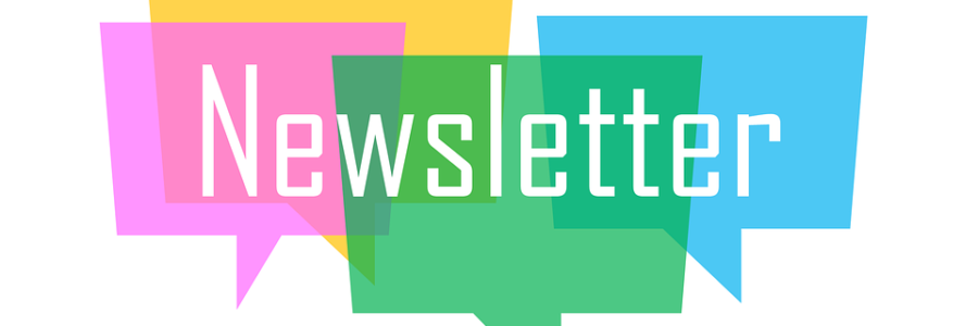 NEWSLETTER FUNDACIÓN INDEPENDIENTE AÑO 2020 -Memoria de Actividades-