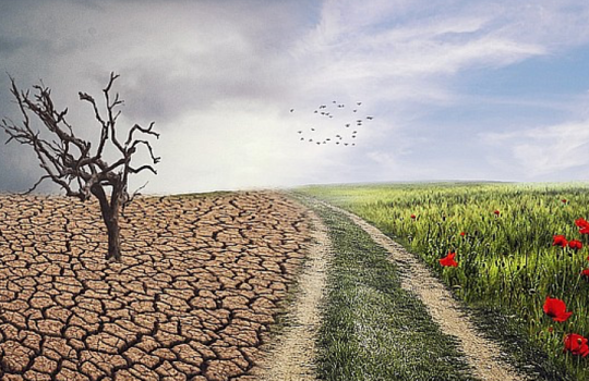 TRIBUNA INDEPENDIENTE “El campo español ante la nueva realidad climática”